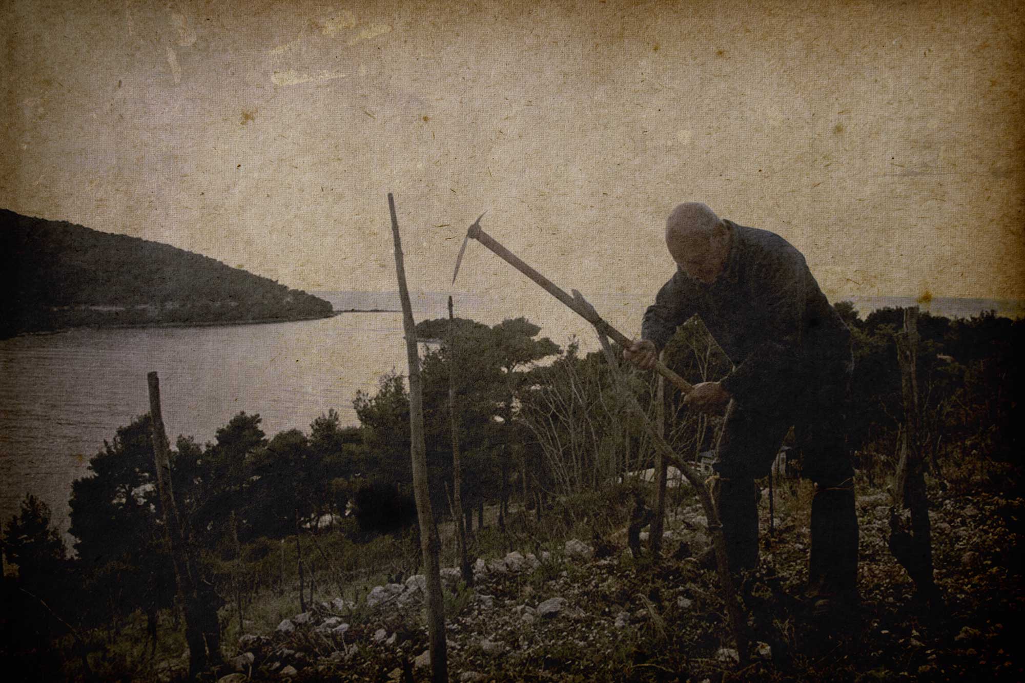 putnikovic_vinarija_old5